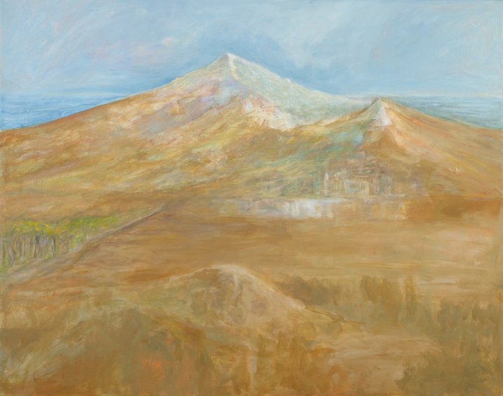 Camino IV