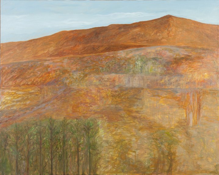 Camino III